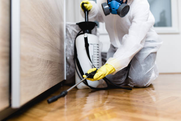 Best Termite Control Services  in Arkansas City, KS