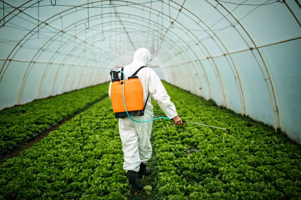 Best Pest Control for Restaurants  in Arkansas City, KS