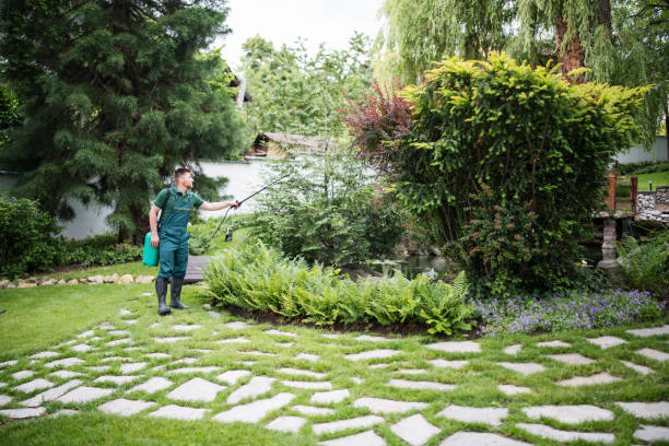 Best Local Pest Control Services  in Arkansas City, KS