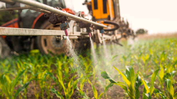 Best Pest Inspection Near Me  in Arkansas City, KS